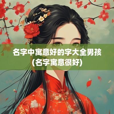 名字中寓意好的字大全男孩(名字寓意很好)
