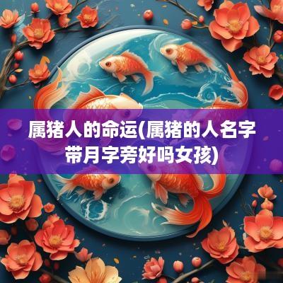 属猪人的命运(属猪的人名字带月字旁好吗女孩)