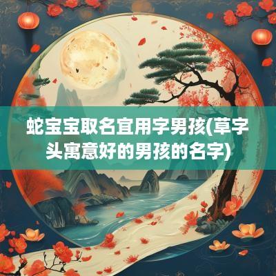 蛇宝宝取名宜用字男孩(草字头寓意好的男孩的名字)