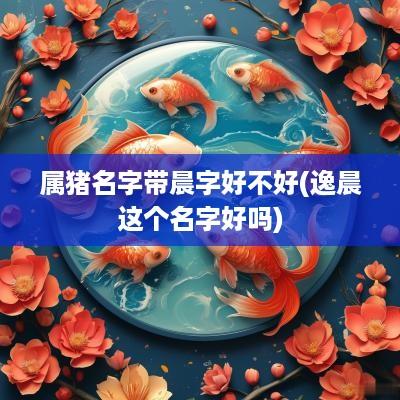 属猪名字带晨字好不好(逸晨这个名字好吗)