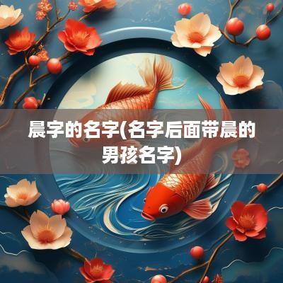 晨字的名字(名字后面带晨的男孩名字)