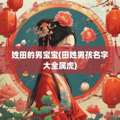 姓田的男宝宝(田姓男孩名字大全属虎)