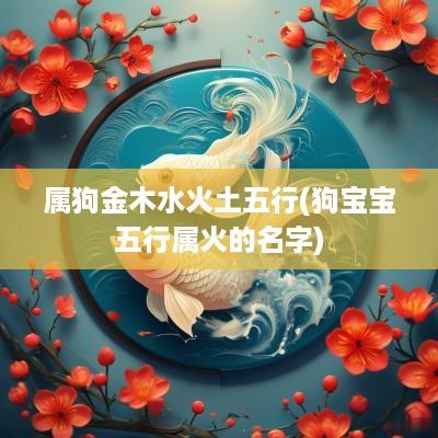 属狗金木水火土五行(狗宝宝五行属火的名字)