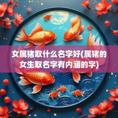 女属猪取什么名字好(属猪的女生取名字有内涵的字)