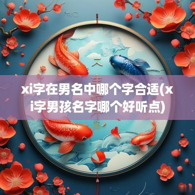 xi字在男名中哪个字合适(xi字男孩名字哪个好听点)