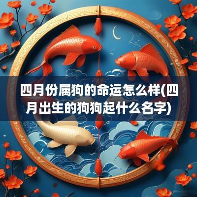 四月份属狗的命运怎么样(四月出生的狗狗起什么名字)