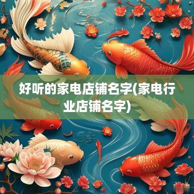 好听的家电店铺名字(家电行业店铺名字)