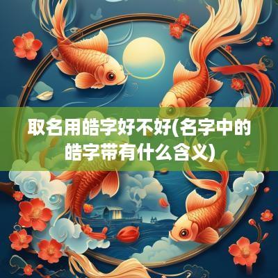 取名用皓字好不好(名字中的皓字带有什么含义)