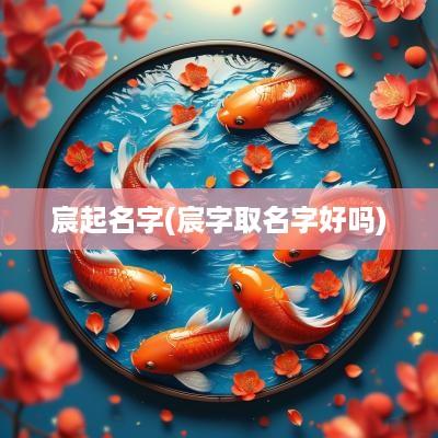 宸起名字(宸字取名字好吗)