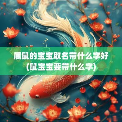 属鼠的宝宝取名带什么字好(鼠宝宝要带什么字)