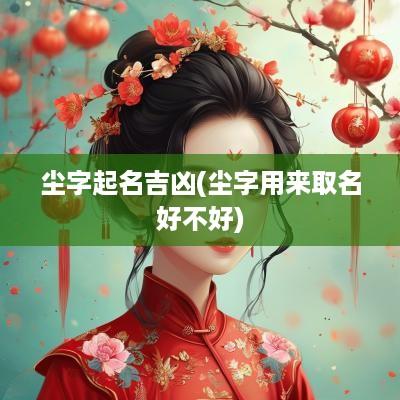 尘字起名吉凶(尘字用来取名好不好)