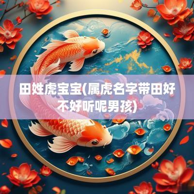 田姓虎宝宝(属虎名字带田好不好听呢男孩)