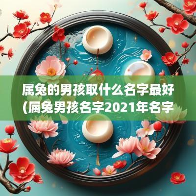 属兔的男孩取什么名字最好(属兔男孩名字2025年名字大全)