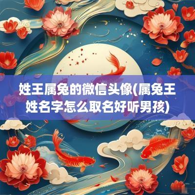 姓王属兔的微信头像(属兔王姓名字怎么取名好听男孩)