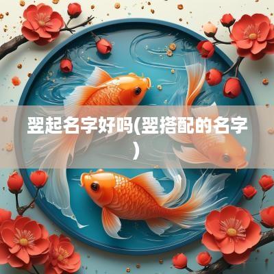 翌起名字好吗(翌搭配的名字)