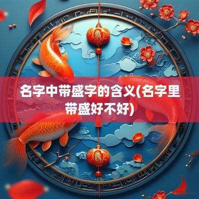 名字中带盛字的含义(名字里带盛好不好)