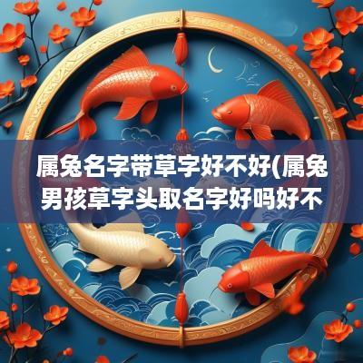 属兔名字带草字好不好(属兔男孩草字头取名字好吗好不好)