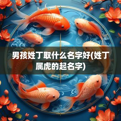 男孩姓丁取什么名字好(姓丁属虎的起名字)