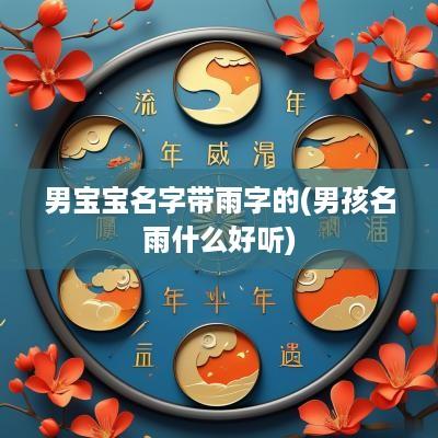 男宝宝名字带雨字的(男孩名雨什么好听)