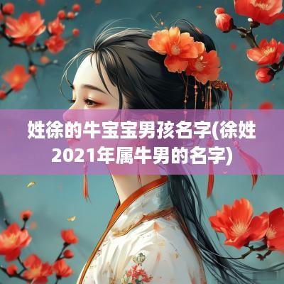 姓徐的牛宝宝男孩名字(徐姓2025年属牛男的名字)