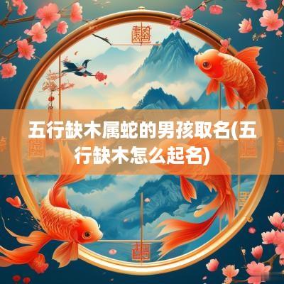 五行缺木属蛇的男孩取名(五行缺木怎么起名)