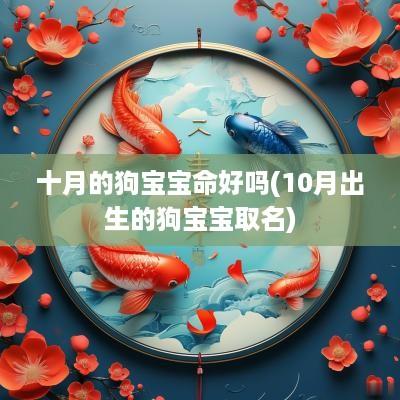 十月的狗宝宝命好吗(10月出生的狗宝宝取名)