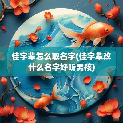佳字辈怎么取名字(佳字辈改什么名字好听男孩)