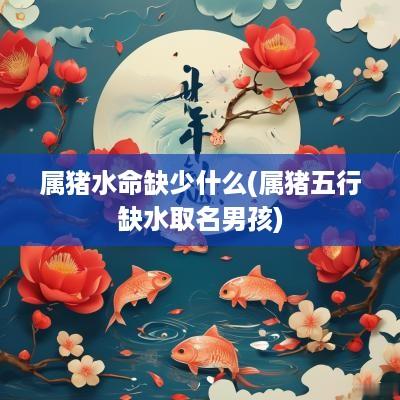 属猪水命缺少什么(属猪五行缺水取名男孩)