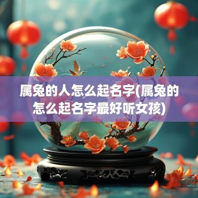 属兔的人怎么起名字(属兔的怎么起名字最好听女孩)