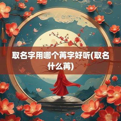 取名字用哪个苒字好听(取名什么苒)