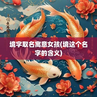 境字取名寓意女孩(境这个名字的含义)