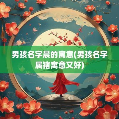 男孩名字晨的寓意(男孩名字属猪寓意又好)