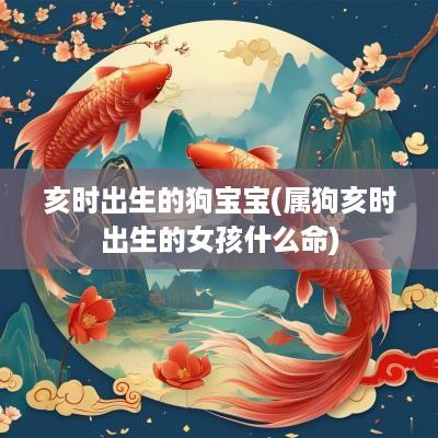 亥时出生的狗宝宝(属狗亥时出生的女孩什么命)