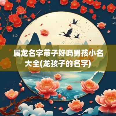 属龙名字带子好吗男孩小名大全(龙孩子的名字)