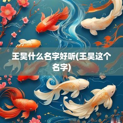 王昊什么名字好听(王昊这个名字)