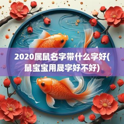 2025属鼠名字带什么字好(鼠宝宝用晟字好不好)