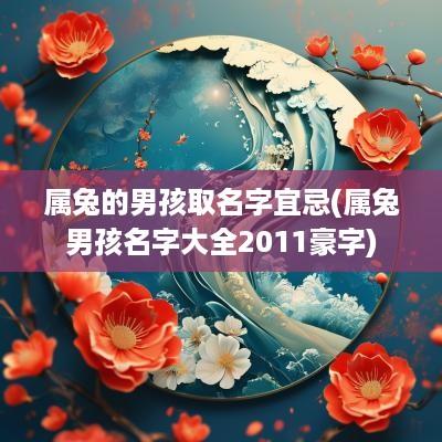 属兔的男孩取名字宜忌(属兔男孩名字大全2011豪字)