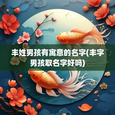 丰姓男孩有寓意的名字(丰字男孩取名字好吗)