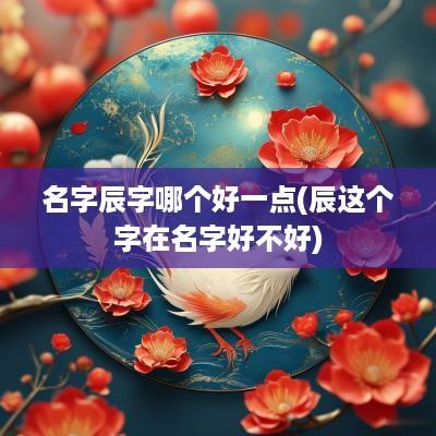 名字辰字哪个好一点(辰这个字在名字好不好)