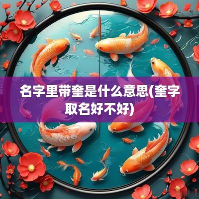 名字里带奎是什么意思(奎字取名好不好)