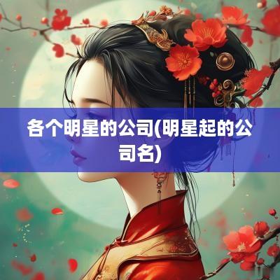 各个明星的公司(明星起的公司名)