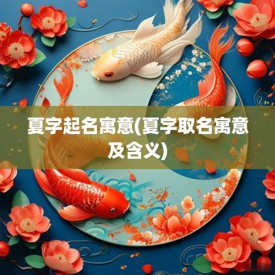 夏字起名寓意(夏字取名寓意及含义)