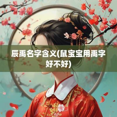 辰禹名字含义(鼠宝宝用禹字好不好)