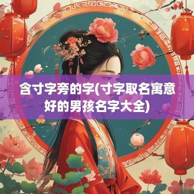 含寸字旁的字(寸字取名寓意好的男孩名字大全)