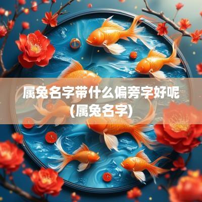 属兔名字带什么偏旁字好呢(属兔名字)
