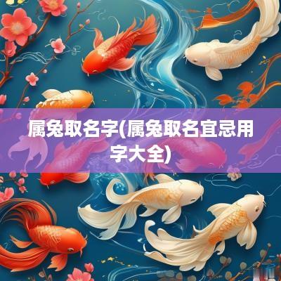 属兔取名字(属兔取名宜忌用字大全)