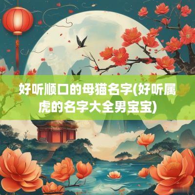 好听顺口的母猫名字(好听属虎的名字大全男宝宝)