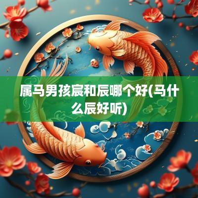 属马男孩宸和辰哪个好(马什么辰好听)