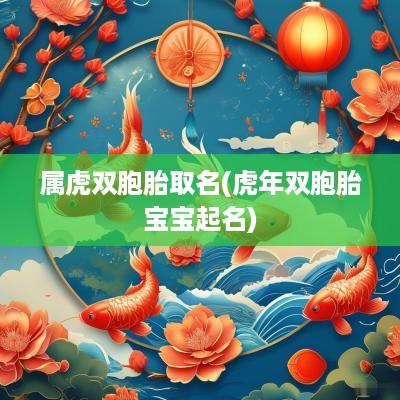 属虎双胞胎取名(蛇年双胞胎宝宝起名)