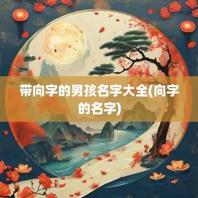 带向字的男孩名字大全(向字的名字)